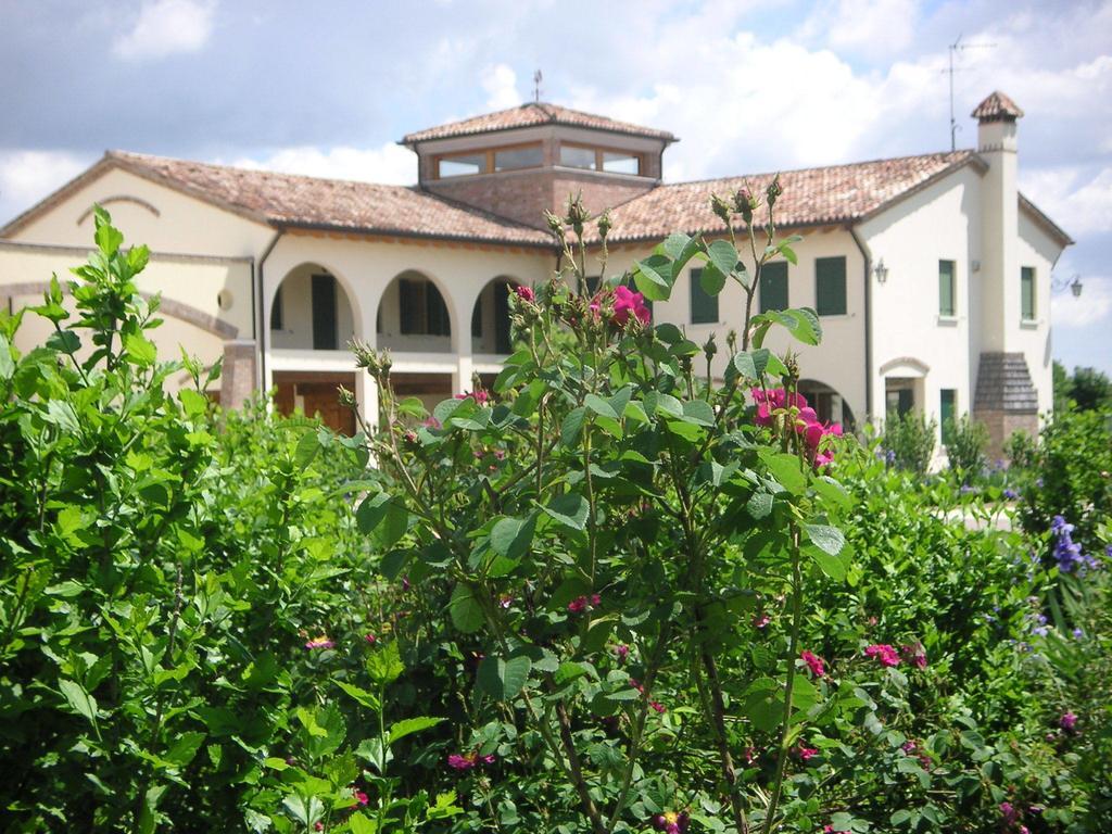 Agriturismo Due Torri Montebelluna Eksteriør billede